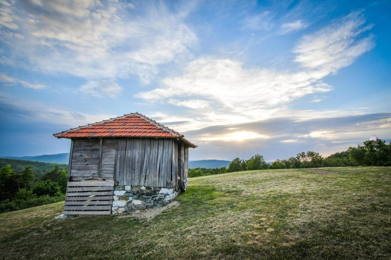 Vila Promaja Guest House Kladovo Exterior photo